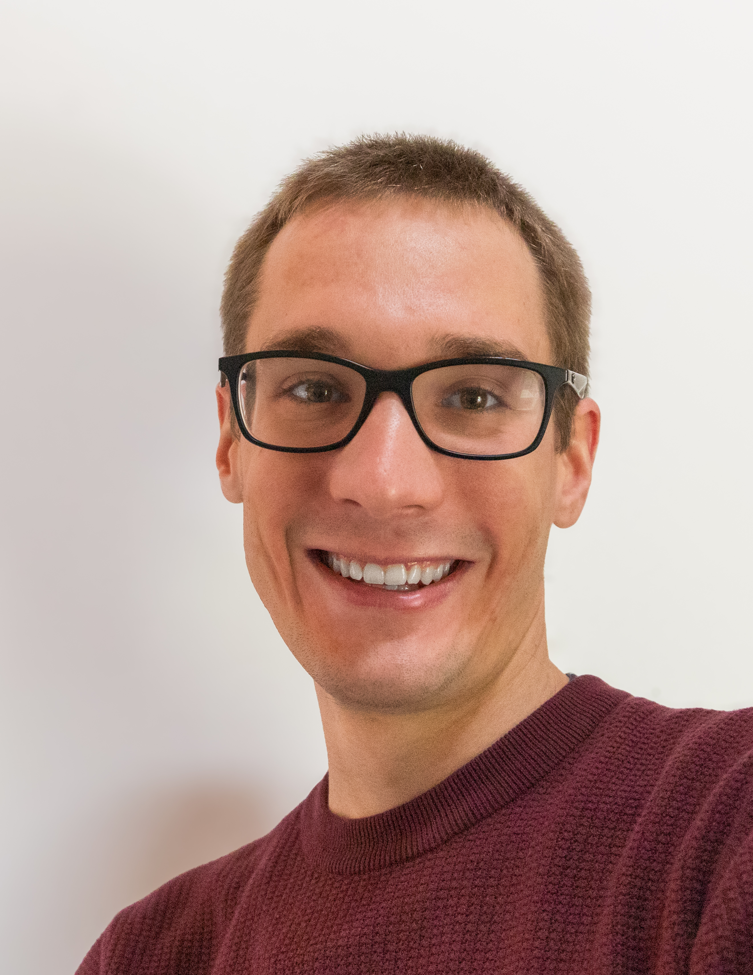 Paul Bosmans portrait